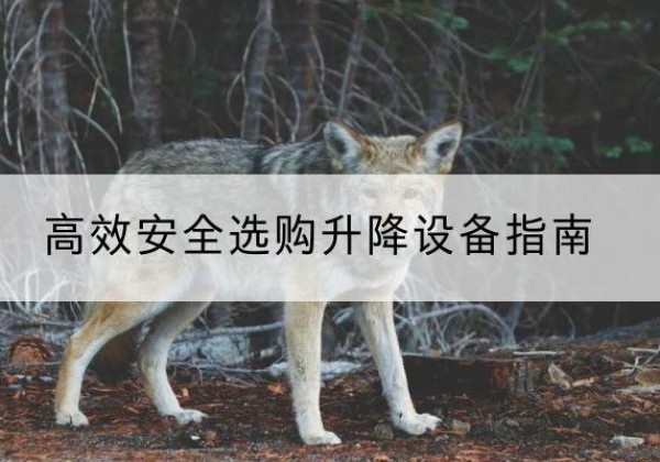 麟游升降货梯厂家推荐-*安全选购升降设备指南