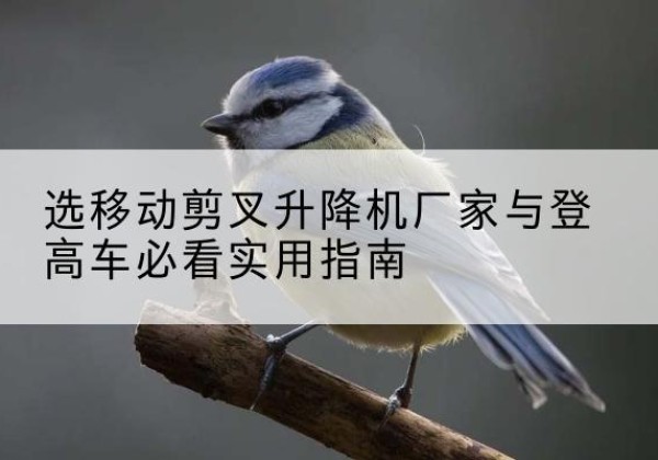 麟游电动升降机厂家-选移动剪叉升降机厂家与登高车必看实用指南