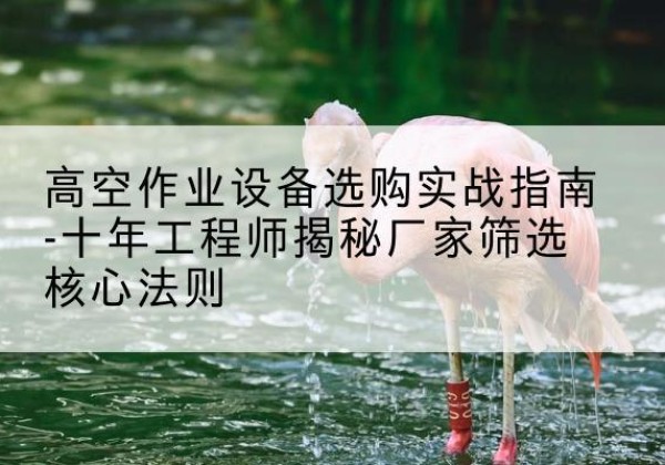 麟游剪叉式升降机厂家-高空作业设备选购实战指南-十年工程师揭秘厂家筛选核心法则